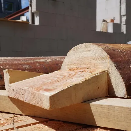 Traditional Family With Garden At Countryside Amsterdam Penzion