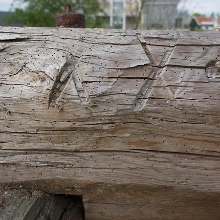 Guest house Traditional Family With Garden At Countryside Amsterdam Landsmeer