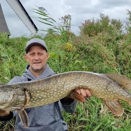 Traditional Family With Garden At Countryside Amsterdam Guest house